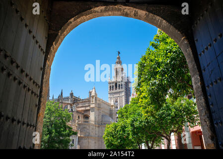 La Giralda de Séville, sur la 12e siècle tour mauresque connu sous le nom de la Giralda dans le centre de la vieille ville de Séville, Andalousie, Espagne Banque D'Images