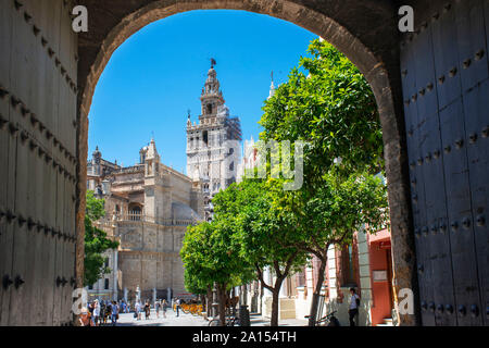 La Giralda de Séville, sur la 12e siècle tour mauresque connu sous le nom de la Giralda dans le centre de la vieille ville de Séville, Andalousie, Espagne Banque D'Images