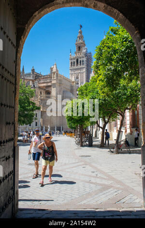 La Giralda de Séville, sur la 12e siècle tour mauresque connu sous le nom de la Giralda dans le centre de la vieille ville de Séville, Andalousie, Espagne Banque D'Images