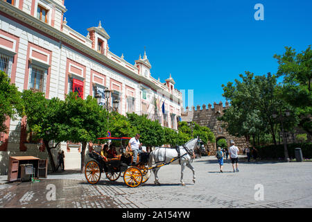 En calèches Plaza Virgen de los Reyes et Palais de l'archevêque de Séville (Palacio Arzobispal) et l'Alcazar, Sevilla, Espagne Banque D'Images