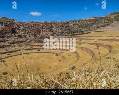 Moray, Incas champs expérimentaux dans les Andes péruviennes à Cuzco, Pérou. L'Amérique du Sud. Banque D'Images