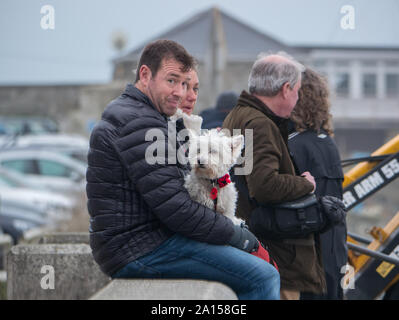 Un homme et une femme avec un chien assis sur le mur de mer à Marazion, Cornwall, Royaume-Uni Banque D'Images