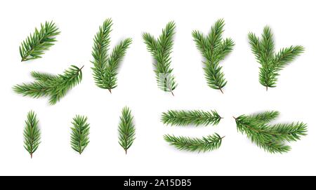 Jeu de collecte de branches de sapin réalistes pour arbre de Noël, le pin. Vector Illustration Illustration de Vecteur