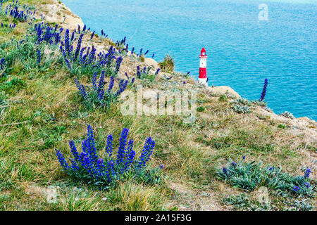 Vue sur le phare de Beachy Head près de Eastbourne, Angleterre, sept Sœurs National Park, UK, selective focus Banque D'Images