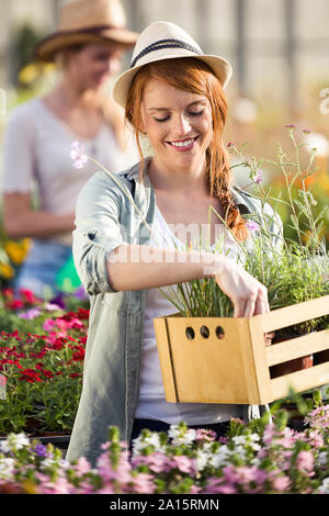 Belle jeune femme prendre soin de plantes et fleurs dans la serre Banque D'Images