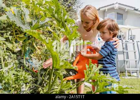 Mère et fils watering plants in garden Banque D'Images