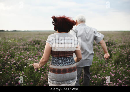 Vue arrière de senior sur flower meadow Banque D'Images