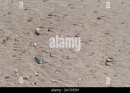 Le sable et les galets humides du rivage sont laissés derrière pendant que la marée se réince. Banque D'Images