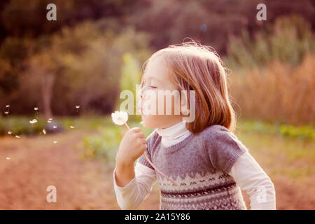 Girl blowing graines de pissenlit dans la zone de l'horloge Banque D'Images