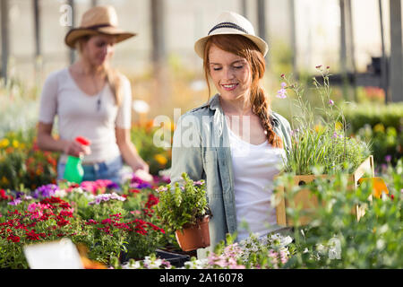 Belle jeune femme prendre soin de plantes et fleurs dans la serre Banque D'Images