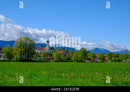 L'herbe et les arbres en face de la ville de pré-Alpes, Konigsdorf, Bavière, Allemagne Banque D'Images