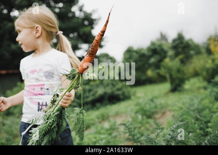 Little girl holding carotte dans jardin Banque D'Images