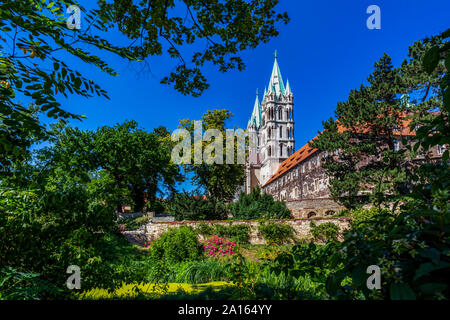 Low angle view of brief/Symbole Dom et arbres contre ciel bleu clair aux beaux jours Banque D'Images