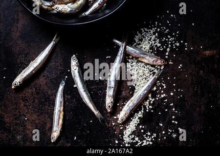 Close-up d'anchois frais et de sel de mer sur ardoise noir rock Banque D'Images