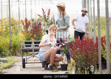 Deux jeunes femmes en prenant soin des plantes dans la serre Banque D'Images