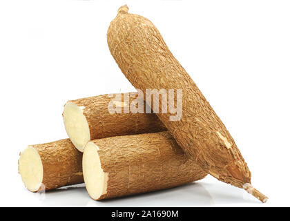 Racine de manioc frais isolé sur fond blanc Banque D'Images