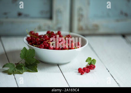 Bol de groseilles rouges frais Banque D'Images