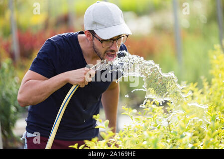 Jeune homme de l'eau potable dans le flexible de Greenhous Banque D'Images