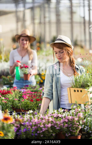 Deux jeunes femmes prendre soin de plantes et fleurs dans la serre Banque D'Images