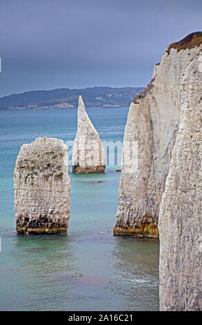 Old Harry Rocks trois formations de craie, dont une pile et une souche, Handfast Point, à l'île de Purbeck, Dorset, Angleterre du sud Banque D'Images