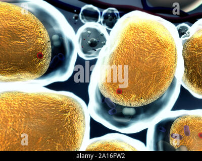 Groupe de cellules vivantes sous microscope, champ de cellules adipeuses, de haute qualité de rendu 3D de cellules, champ de cellules, la structure de la molécule, structure cellulaire Banque D'Images