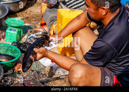 Un nettoyage du poisson à l'Hebdomadaire Marché Inthein, lac Inle, l'État de Shan, Myanmar. Banque D'Images