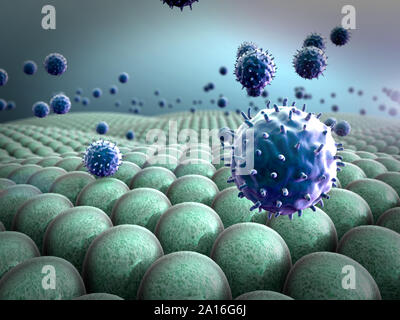 Domaine de cellules, les virus attaquent les cellules, action du système immunitaire humain Banque D'Images