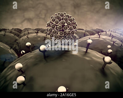 Domaine des cellules avec des récepteurs, les droits de l'attaque du système immunitaire le virus, leucocytes s'attaquent aux virus Banque D'Images