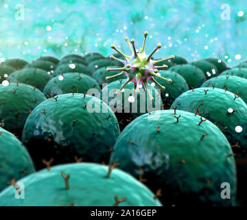 Domaine des cellules avec des récepteurs, les droits de l'attaque du système immunitaire le virus, leucocytes s'attaquent aux virus Banque D'Images