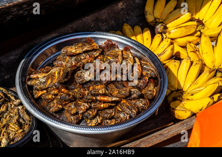 Le poisson frit et les bananes en vente, Marché Flottant, lac Inle, l'État de Shan, Myanmar Banque D'Images