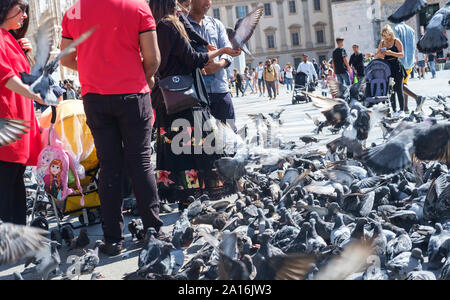 Milan. L'Italie, la place du Duomo, août 2019. Les touristes pigeons d'alimentation. Banque D'Images