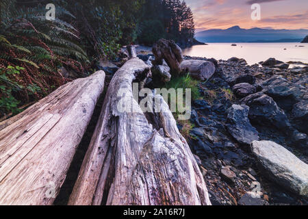 Plage rocheuse de soleil le long de la côte Pacifique du nord-ouest de l'île de Bowen à Howe Sound avec de spectaculaires vues sur le phare de l'ensemble juste au large de la côte de Vancouver BC Banque D'Images