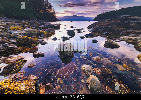 Plage rocheuse de soleil le long de la côte Pacifique du nord-ouest de l'île de Bowen à Howe Sound avec de spectaculaires vues sur le phare de l'ensemble juste au large de la côte de Vancouver BC Banque D'Images