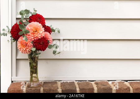 Vase rempli de fleurs Dahlia et Eucalyptus verts in front of White Background Siding Banque D'Images