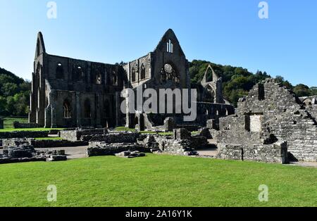 Ruines de l'abbaye de Tintern Banque D'Images