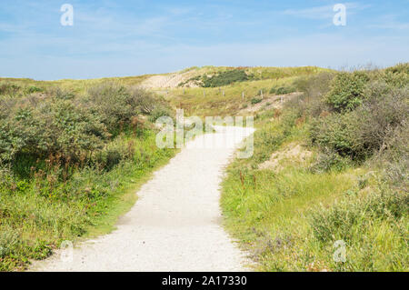 Chemin à travers les dunes de North-Sea réserve naturelle dans la lumière du matin. Banque D'Images