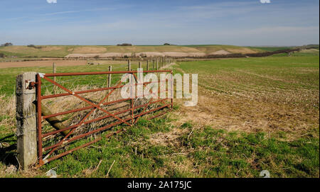 Un quiscale field gate dans les terres agricoles ouvertes. Banque D'Images