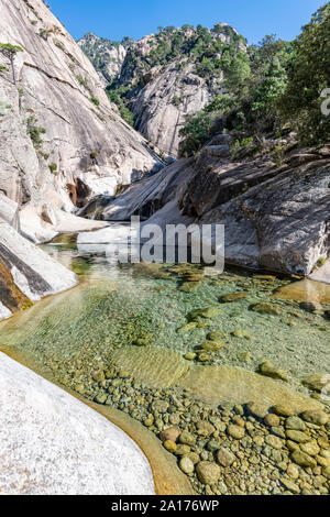 Cascade et piscine naturelle dans le célèbre Canyon Purcaraccia à Bavella en été. La cascade naturelle formulaires glisser dans les roches. Corse, France Banque D'Images