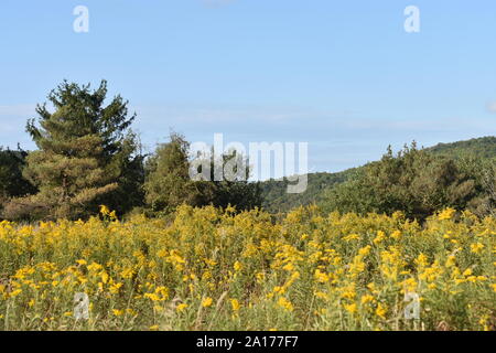 Les zones de montagne pittoresque au centre de l'État de New York, autour de la région des lacs Finger -03 Banque D'Images