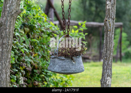 Pot de fer suspendu avec fleurs et plantes à l'intérieur . Banque D'Images