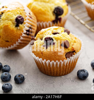 Muffins aux bleuets et aux copeaux de chocolat au lait Banque D'Images