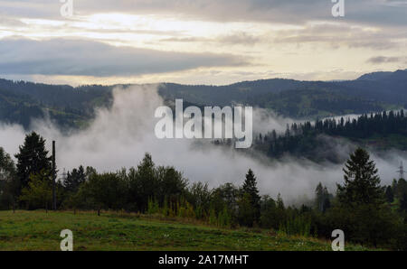 Forêt de pins brumeux après le lever du soleil entre les montagnes des Carpates en Ukraine Banque D'Images
