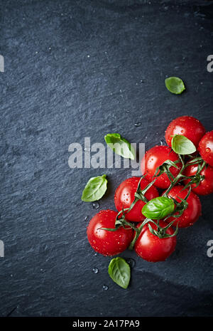 Tomates cerise sur la vigne avec des feuilles de basilic sur fond noir en noir. Concept pour une alimentation saine. Image symbolique. Vue d'en haut. Copier l'espace. Banque D'Images