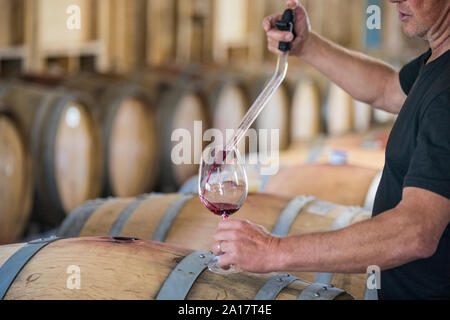 Portrait de sommelier de verser le vin à partir d'un canon à l'aide d'une pipette Banque D'Images