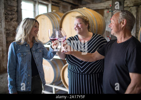 Groupe de trois hourras leurs verres de dégustation de vin au cours d'excursion. Banque D'Images