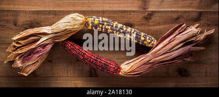 Les deux épis de maïs multicolores sur un fond de bois foncé, texturé Banque D'Images