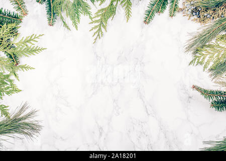 Diverses plantes conifères branches sur fond de marbre blanc. Saison de vacances concept. L'horizontale Banque D'Images