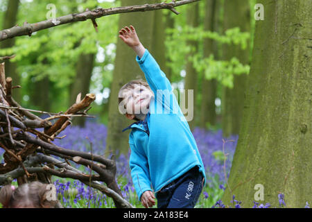 Jeune garçon pour atteindre une branche dans une forêt Banque D'Images