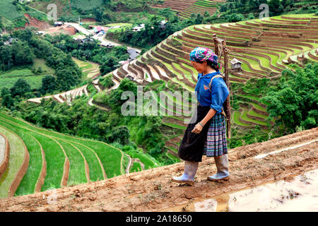 Femme Hmong noirs travaillant dans les rizières en terrasses à Mu Cang Chai, Yen Bai, dans la province nord-ouest du Vietnam. Banque D'Images