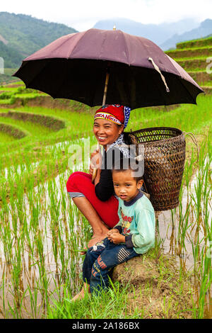 La mère et le fils, dans un champ de riz. Mu Cang Chai, Yen Bai, dans la province nord-ouest du Vietnam. Banque D'Images